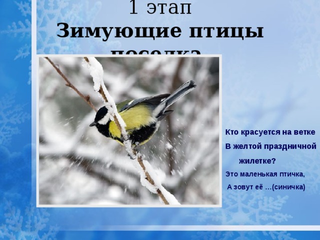 1 этап  Зимующие птицы поселка. Кто красуется на ветке В желтой праздничной жилетке?  Это маленькая птичка,  А зовут её …(синичка) 