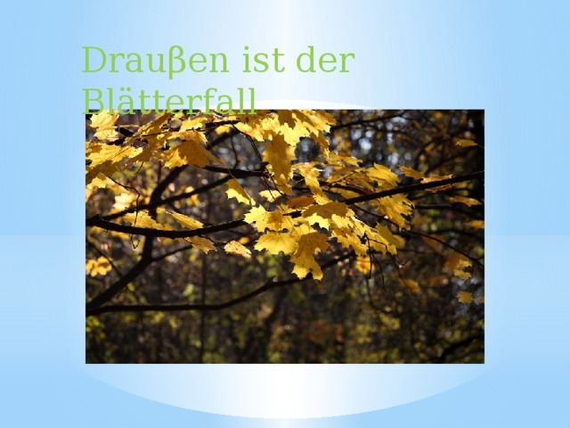 Drauβen ist der Blätterfall