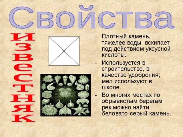 Плотный камень, тяжелее воды, вскипает под действием уксусной кислоты. Используется в строительстве, в качестве удобрения; мел используют в школе. Во многих местах по обрывистым берегам рек можно найти беловато-серый камень. 