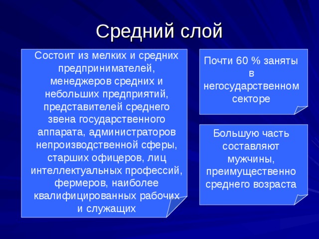 Средний слой Состоит из мелких и средних предпринимателей, менеджеров средних и небольших предприятий, представителей среднего звена государственного аппарата, администраторов непроизводственной сферы, старших офицеров, лиц интеллектуальных профессий, фермеров, наиболее квалифицированных рабочих и служащих Почти 60 % заняты в негосударственном секторе Большую часть составляют мужчины, преимущественно среднего возраста 