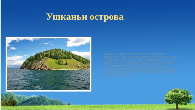 Ушканьи острова Ушканьи острова это своеобразный архипелаг, образующий один большой остров и три малых островка, находящиеся в средней части озера Байкал. Ушканьи острова, как и вся природа озера, отличаются своими неповторимыми особенностями. Мраморные скалы украшают берега причудливой формы, а лиственницы, произрастающие на берегах какой-то необыкновенной грушевидной формы. 
