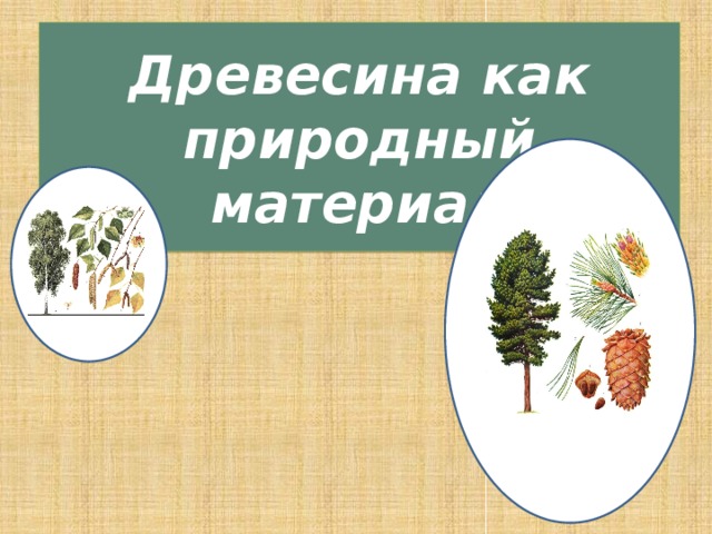 Древесина как природный материал