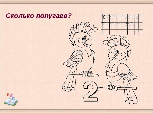 Сколько попугаев? 