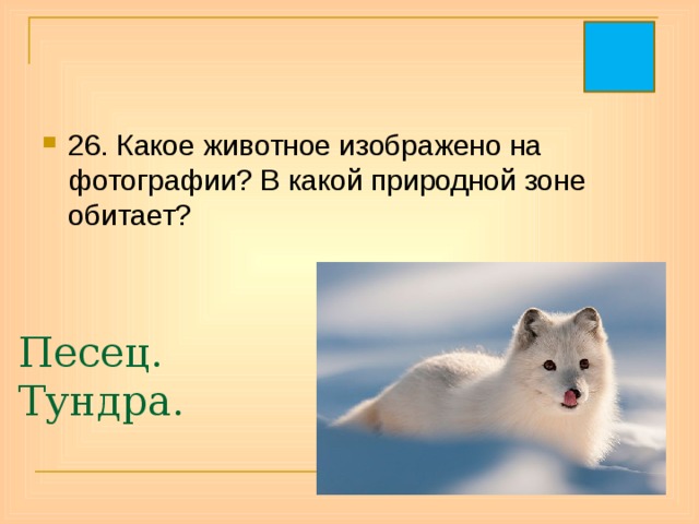26. Какое животное изображено на фотографии? В какой природной зоне обитает? Песец. Тундра. 
