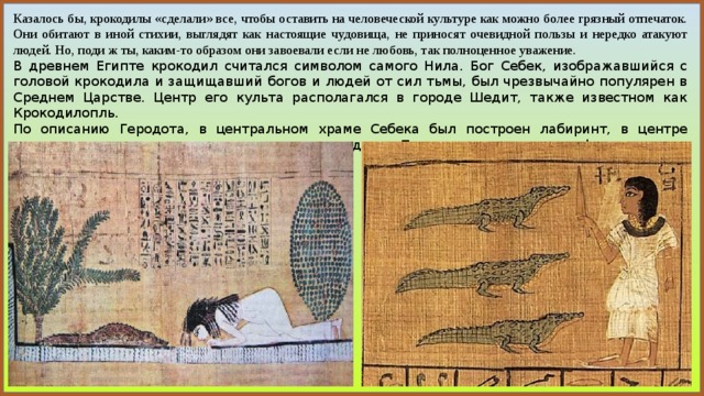 Казалось бы, крокодилы «сделали» все, чтобы оставить на человеческой культуре как можно более грязный отпечаток. Они обитают в иной стихии, выглядят как настоящие чудовища, не приносят очевидной пользы и нередко атакуют людей. Но, поди ж ты, каким-то образом они завоевали если не любовь, так полноценное уважение.  В древнем Египте крокодил считался символом самого Нила. Бог Себек, изображавшийся с головой крокодила и защищавший богов и людей от сил тьмы, был чрезвычайно популярен в Среднем Царстве. Центр его культа располагался в городе Шедит, также известном как Крокодилопль. По описанию Геродота, в центральном храме Себека был построен лабиринт, в центре которого жрецы держали священного крокодила. После смерти его мумифицировали и предавали почетному захоронению. 
