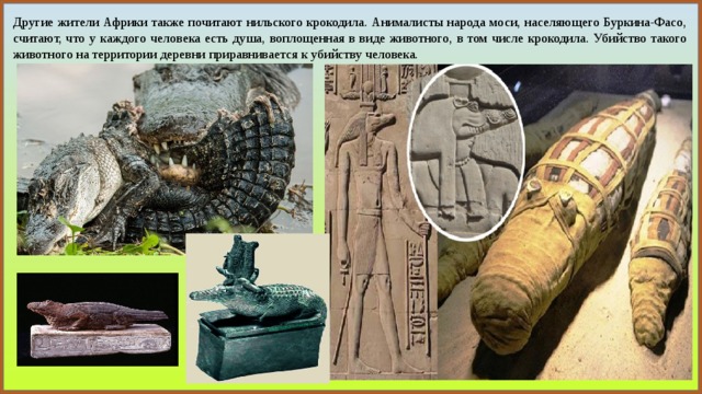 Другие жители Африки также почитают нильского крокодила. Анималисты народа моси, населяющего Буркина-Фасо, считают, что у каждого человека есть душа, воплощенная в виде животного, в том числе крокодила. Убийство такого животного на территории деревни приравнивается к убийству человека. 