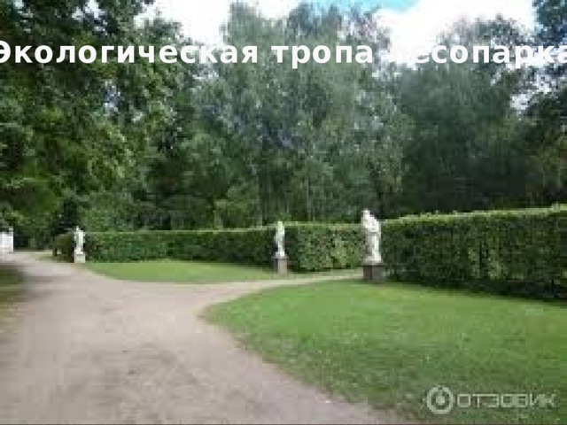 Экологическая тропа лесопарка 