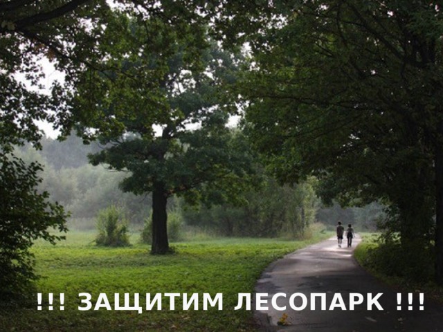 !!! ЗАЩИТИМ ЛЕСОПАРК !!! 