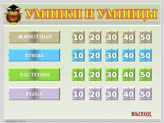 10  30 40 50 20  Животные  10 20 30 40 50 птицы  растения 50 40 30 20 10 30 40 50 20 10 рыба  
