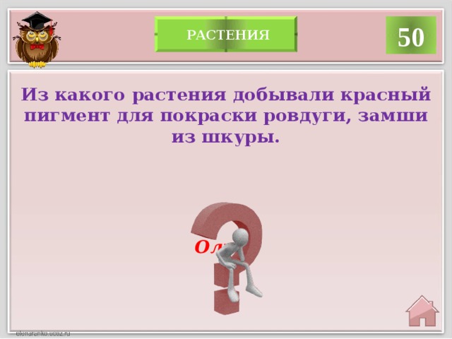 50  растения Из какого растения добывали красный пигмент для покраски ровдуги, замши из шкуры. Ольха 