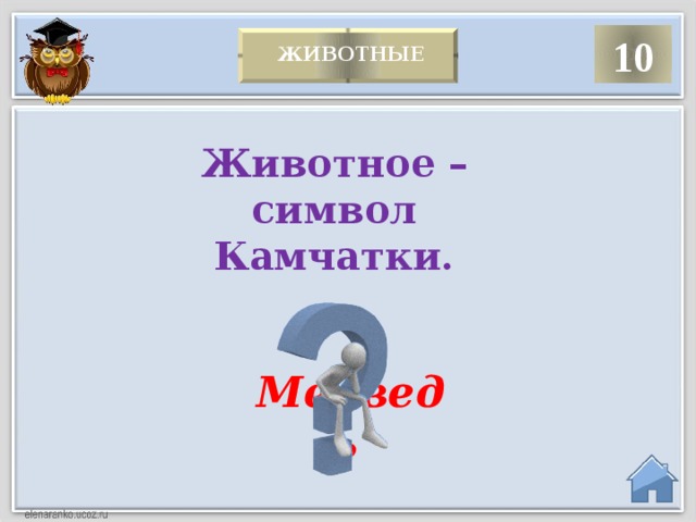 10   Животные  Животное – символ Камчатки. Медведь  