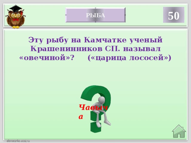 50 рыба Эту рыбу на Камчатке ученый Крашенинников СП. называл «овечиной»? («царица лососей») Чавыча 