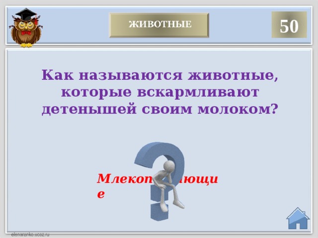 50 Как называются животные, которые вскармливают детенышей своим молоком? Млекопитающие  