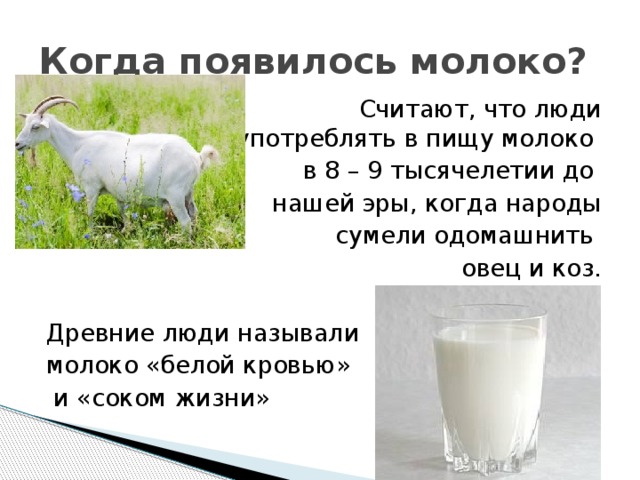 Когда появилось молоко?  Считают, что люди стали употреблять в пищу молоко в 8 – 9 тысячелетии до нашей эры, когда народы  сумели одомашнить овец и коз. Древние люди называли молоко «белой кровью»  и «соком жизни» 