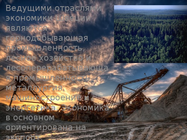 Ведущими отраслями экономики Швеции являются горнодобывающая промышленность, лесное хозяйство и лесоперерабатывающая промышленность, металлургия, машиностроение и энергетика. Экономика в основном ориентирована на экспорт. 