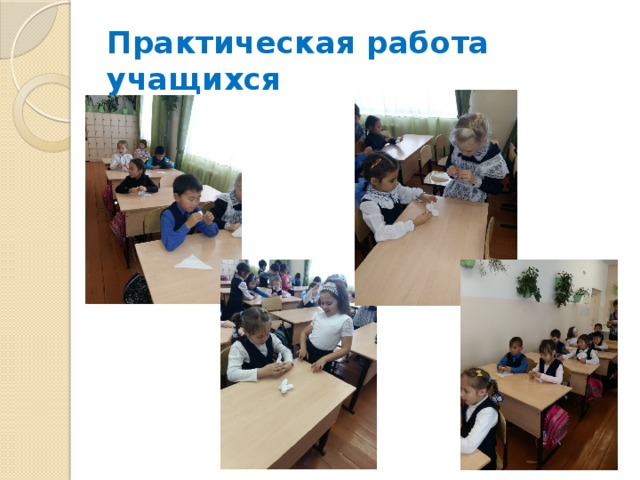 Практическая работа учащихся 