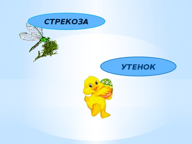   СТРЕКОЗА УТЕНОК 