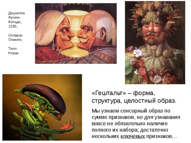 Джузеппе Арчим- больдо, 1590, Октавио Окампо, Тилл Новак «Гештальт» – форма, структура, целостный образ. Мы узнаем сенсорный образ по сумме признаков, но для узнавания вовсе не обязательно наличие полного их набора; достаточно нескольких ключевых признаков… 