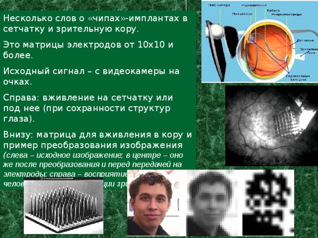Несколько слов о «чипах»-имплантах в сетчатку и зрительную кору. Это матрицы электродов от 10х10 и более. Исходный сигнал – с видеокамеры на очках. Справа: вживление на сетчатку или под нее (при сохранности структур глаза). Внизу: матрица для вживления в кору и пример преобразования изображения ( слева – исходное изображение; в центре – оно же после преобразования и перед передачей на электроды; справа – восприятие изображения человеком после стимуляции зрительной коры). 
