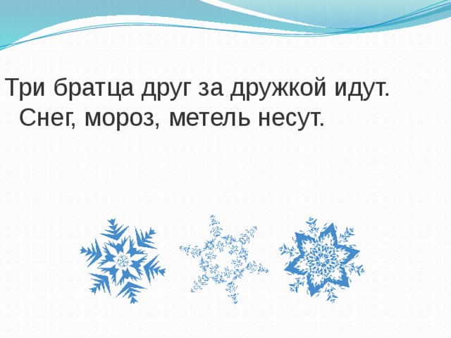 Три братца друг за дружкой идут.  Снег, мороз, метель несут. 