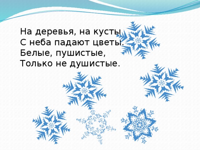 На деревья, на кусты  С неба падают цветы.  Белые, пушистые,  Только не душистые.   