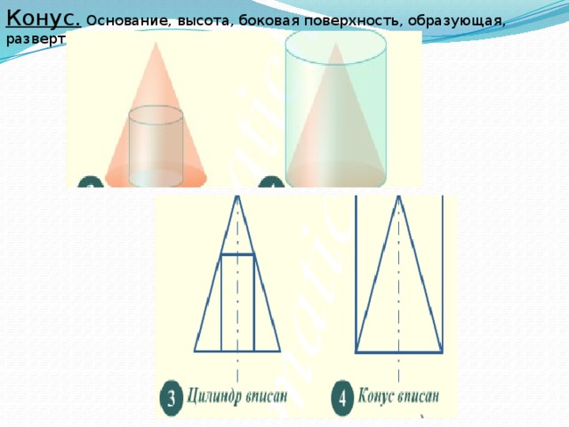 Конус.   Основание, высота, боковая поверхность, образующая, развертка 
