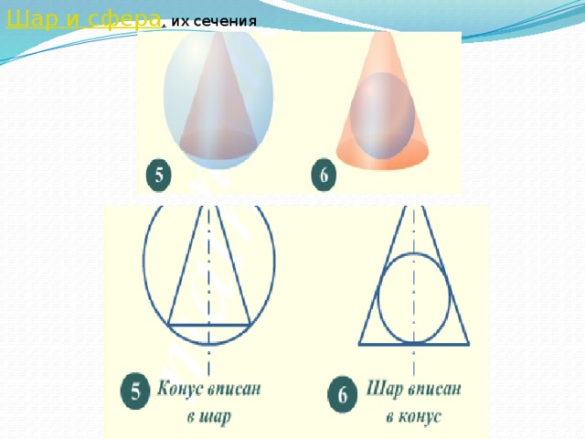 Шар и сфера ,   их сечения 