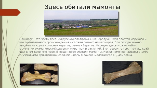 Здесь обитали мамонты Наш край - это часть древней русской платформы. Из чередующихся пластов морского и континентального происхождения и сложен рельеф нашего края. Эти породы можно увидеть на крутых склонах оврагов, речных берегов. Нередко здесь можно найти отпечатки окаменелостей древних животных и растений. Это говорит о том, что наш край был дном древнего моря. В нашем крае обитали мамонты. Кости мамонта найдены в 1980 г. учениками Давыдовской средней школы в районе меловых гор с. Давыдовка. 