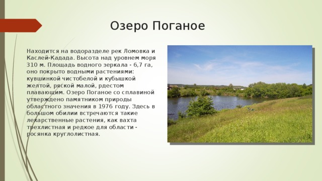 Озеро Поганое Находится на водоразделе рек Ломовка и Каслей-Кадада. Высота над уровнем моря 310 м. Площадь водного зеркала - 6,7 га, оно покрыто водными растениями: кувшинкой чистобелой и кубышкой желтой, ряской малой, рдестом плавающим. Озеро Поганое со сплавиной утверждено памятником природы областного значения в 1976 году. Здесь в большом обилии встречаются такие лекарственные растения, как вахта трехлистная и редкое для области - росянка круглолистная. 