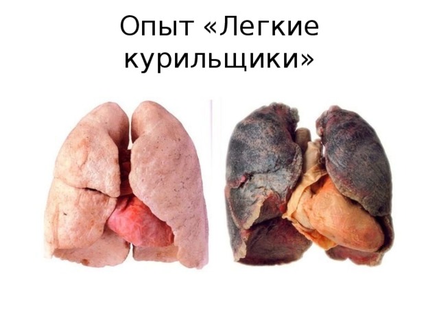 Опыт «Легкие курильщики» 