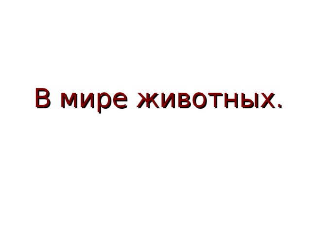 В мире животных. 