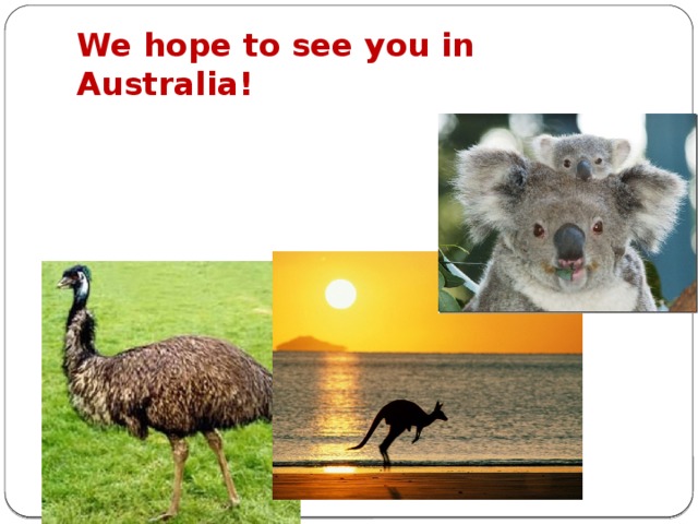 We hope to see you in Australia! Pine Walk Koala Park 