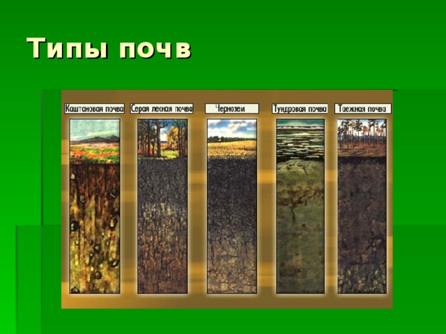 Типы почв  