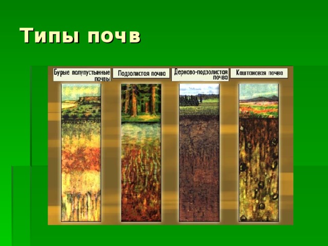 Типы почв  