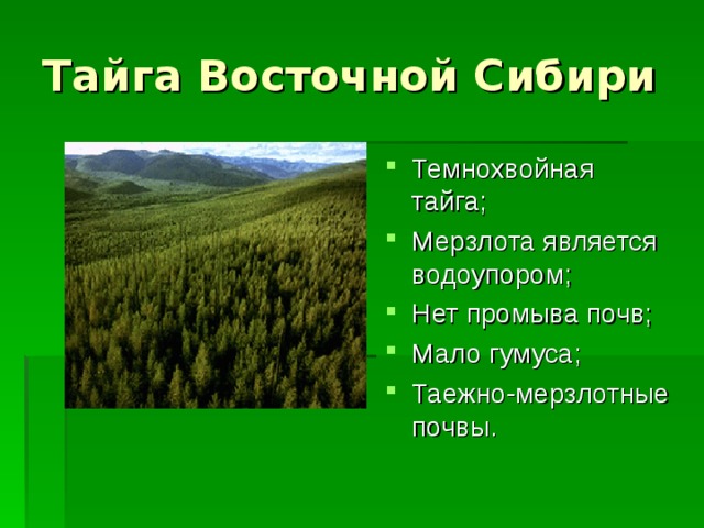 Тайга Восточной Сибири Темнохвойная тайга; Мерзлота является водоупором; Нет промыва почв; Мало гумуса; Таежно-мерзлотные почвы.   