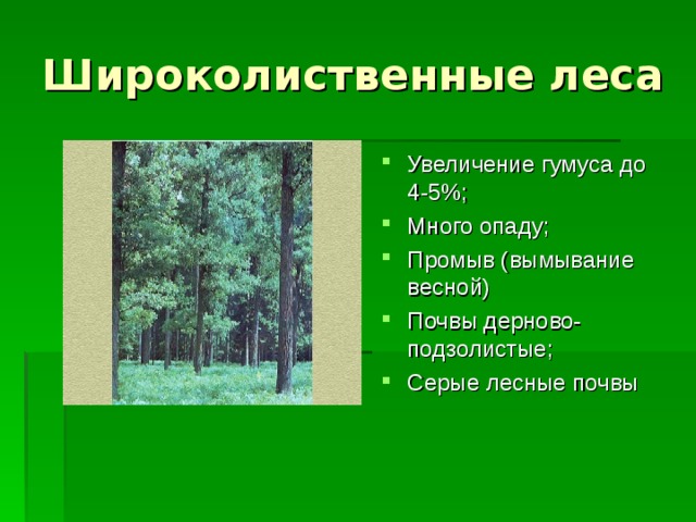 Широколиственные леса Увеличение гумуса до 4-5%; Много опаду; Промыв (вымывание весной) Почвы дерново-подзолистые; Серые лесные почвы  