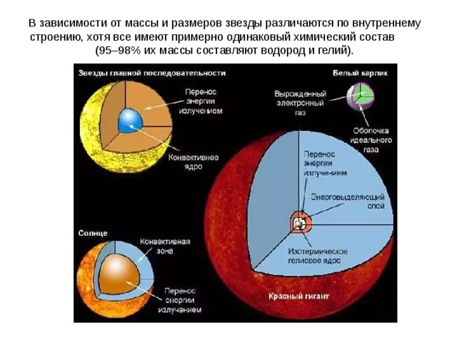 В зависимости от массы и размеров звезды различаются по внутреннему строению, хотя все имеют примерно одинаковый химический состав (95–98% их массы составляют водород и гелий). 