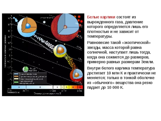 Белые карлики состоят из вырожденного газа, давление которого определяется лишь его плотностью и не зависит от температуры. Равновесие такой «экзотической» звезды, масса которой равна солнечной, наступает лишь тогда, когда она сожмется до размеров, примерно равных размерам Земли. Внутри белого карлика температура достигает 10 млн К и практически не меняется; только в тонкой оболочке из «обычного» вещества она резко падает до 10 000 К. 