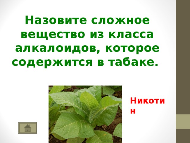  Назовите сложное вещество из класса алкалоидов, которое содержится в табаке. Никотин 
