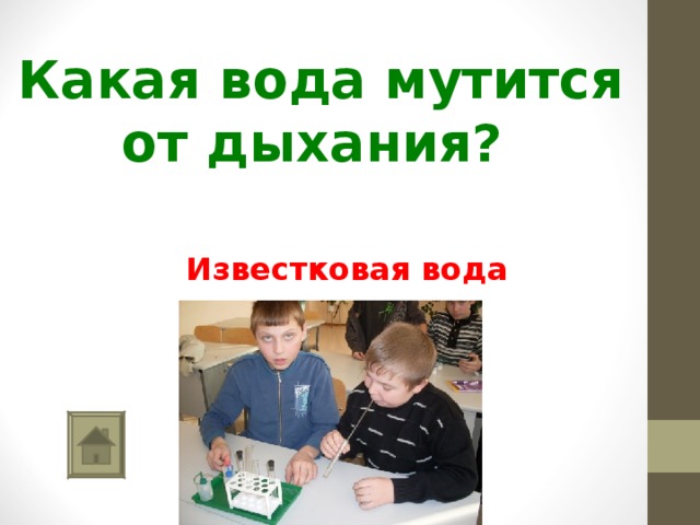  Какая вода мутится от дыхания? Известковая вода 
