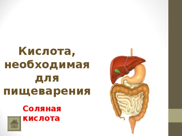     Кислота, необходимая для пищеварения   Соляная кислота 