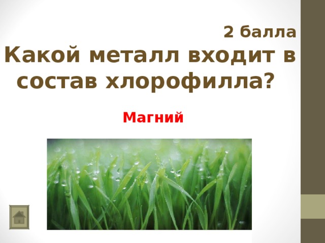  2 балла Какой металл входит в состав хлорофилла? Магний 