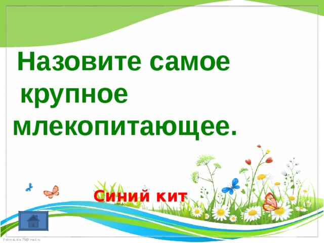   Назовите самое  крупное млекопитающее. Синий кит 