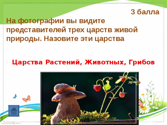 3 балла На фотографии вы видите представителей трех царств живой природы. Назовите эти царства Царства Растений, Животных, Грибов 