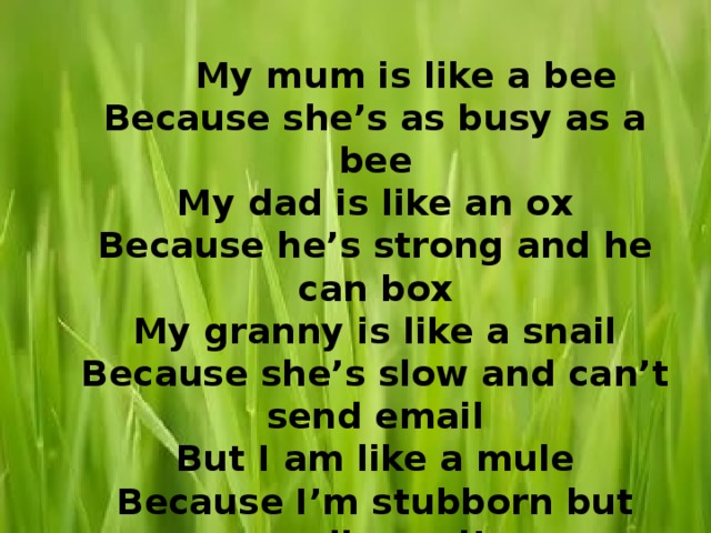  My mum is like a bee  Because she’s as busy as a bee  My dad is like an ox  Because he’s strong and he can box  My granny is like a snail  Because she’s slow and can’t send email  But I am like a mule  Because I’m stubborn but really cool!   