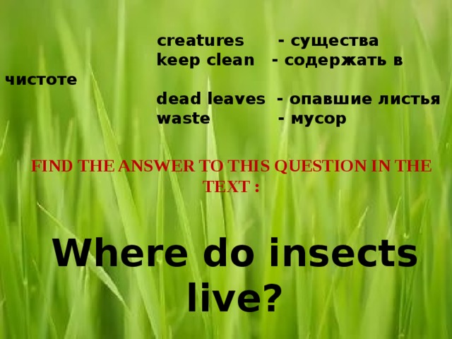    creatures - существа  keep clean - содержать в чистоте  dead leaves - опавшие листья  waste - мусор          FIND THE ANSWER TO THIS QUESTION IN THE TEXT : Where do insects live? 