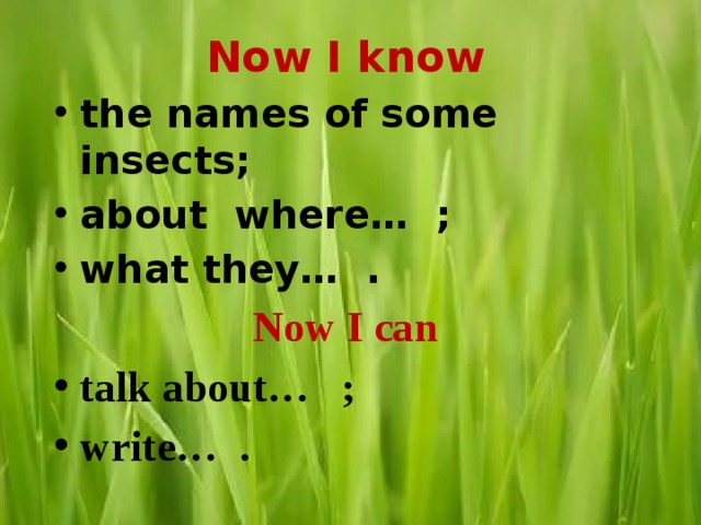 Now I know the names of some insects; about where… ; what they… . Now I can talk about… ; write… . 