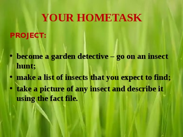 YOUR HOMETASK PROJECT:  become a garden detective – go on an insect hunt; make a list of insects that you expect to find; take a picture of any insect and describe it using the fact file. 