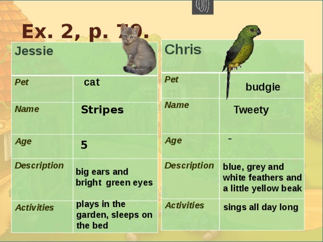 .  Ex. 2, p. 70. Chris Pet  Name  Age  Description  Activities  Jessie  Pet  Name  Age  Description  Activities  cat budgie Stripes Tweety - 5 blue, grey and white feathers and a little yellow beak big ears and bright green eyes plays in the garden, sleeps on the bed sings all day long 