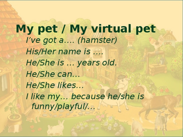 .  My pet / My virtual pet I’ve got a…. (hamster) His/Her name is …. He/She is … years old. He/She can… He/She likes… I like my… because he/she is funny/playful/… 